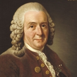 Carl von Linné